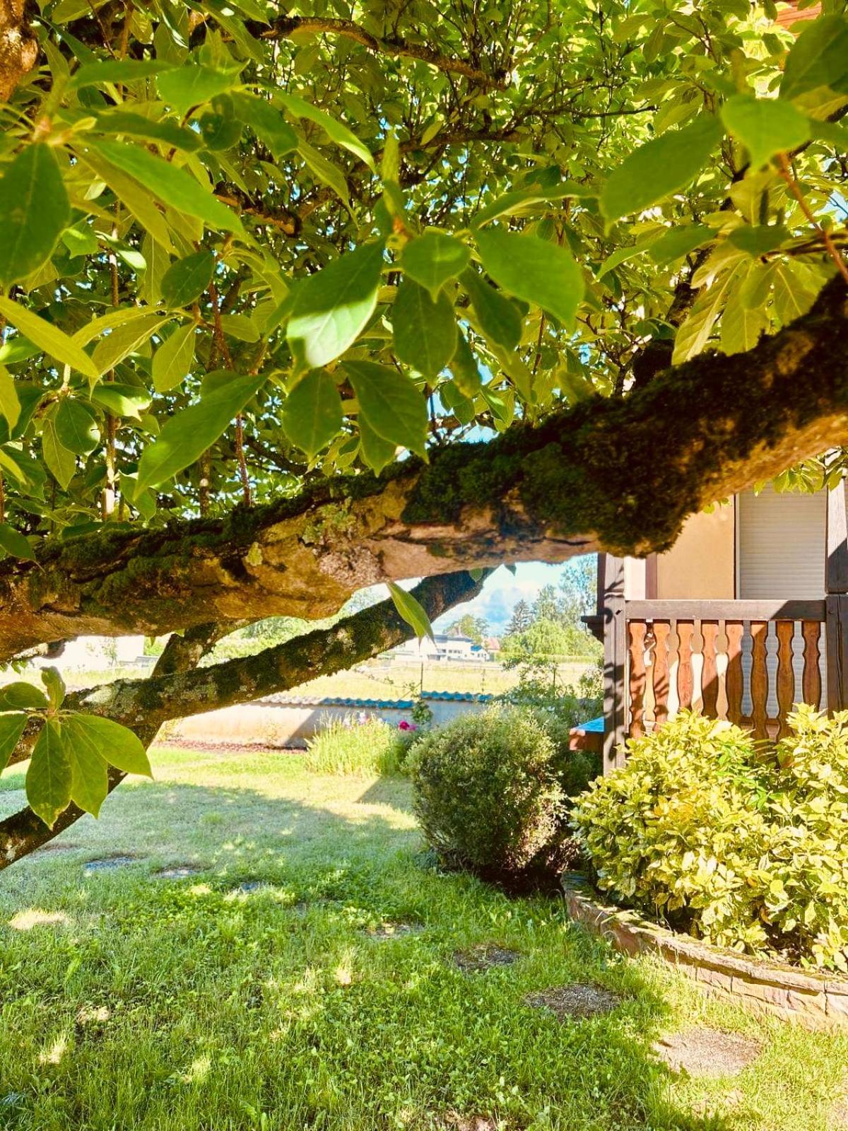 Bed and Breakfast La Clef Des Songes Merzmuhler Exteriér fotografie